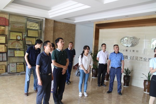 杭州亞運會官方靈芝產(chǎn)品供應商|杭州亞運會官方供應商|中國靈芝十大品牌|仙客來靈芝|仙客來靈芝破壁孢子粉|仙客來孢子油|仙客來靈芝飲片|仙客來破壁孢子粉|靈芝孢子油|孢子粉|靈芝破壁孢子粉|靈芝|中華老字號 杭州亞運會官方靈芝產(chǎn)品供應商|杭州亞運會官方供應商|中國靈芝十大品牌|仙客來靈芝|仙客來靈芝破壁孢子粉|仙客來孢子油|仙客來靈芝飲片|仙客來破壁孢子粉|靈芝孢子油|孢子粉|靈芝破壁孢子粉|靈芝|中華老字號