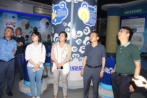 杭州亞運會官方靈芝產(chǎn)品供應商|杭州亞運會官方供應商|中國靈芝十大品牌|仙客來靈芝|仙客來靈芝破壁孢子粉|仙客來孢子油|仙客來靈芝飲片|仙客來破壁孢子粉|靈芝孢子油|孢子粉|靈芝破壁孢子粉|靈芝|中華老字號 杭州亞運會官方靈芝產(chǎn)品供應商|杭州亞運會官方供應商|中國靈芝十大品牌|仙客來靈芝|仙客來靈芝破壁孢子粉|仙客來孢子油|仙客來靈芝飲片|仙客來破壁孢子粉|靈芝孢子油|孢子粉|靈芝破壁孢子粉|靈芝|中華老字號