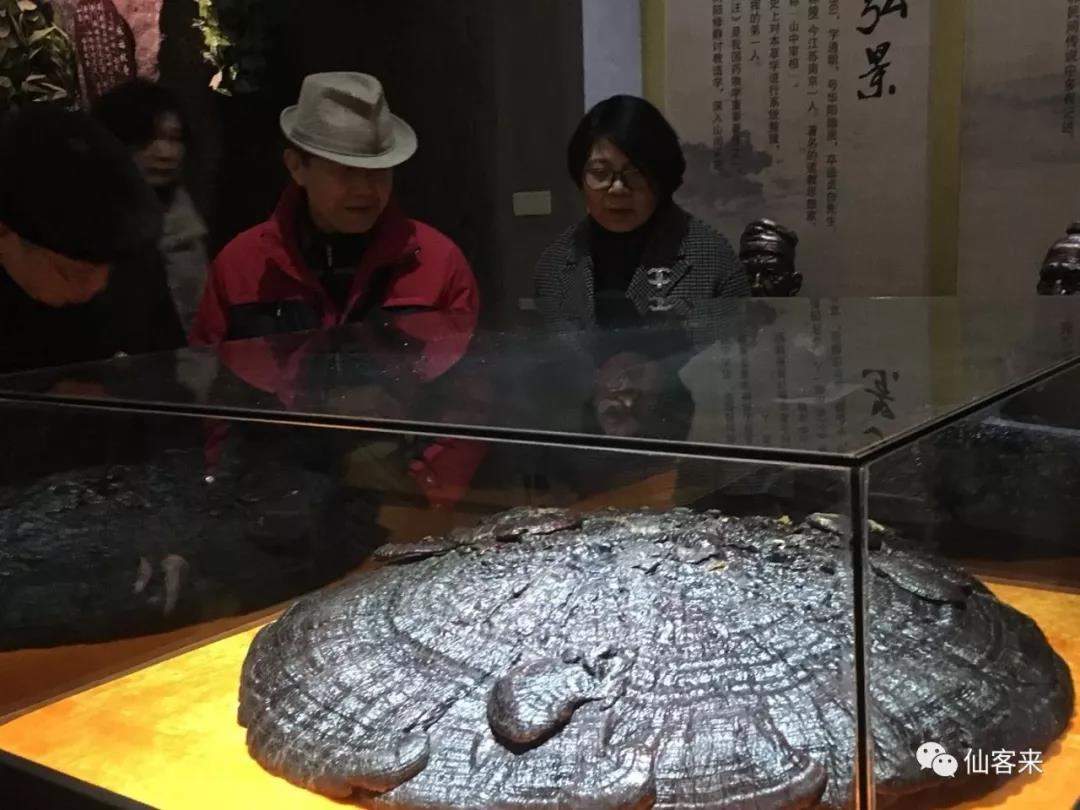 中國(guó)靈芝十大品牌|仙客來(lái)靈芝|仙客來(lái)靈芝破壁孢子粉|仙客來(lái)孢子油|仙客來(lái)靈芝飲片|仙客來(lái)破壁孢子粉|仙客來(lái)靈芝中藥飲片|馳名商標(biāo)|aimlin.com| 中國(guó)靈芝十大品牌|仙客來(lái)靈芝|仙客來(lái)靈芝破壁孢子粉|仙客來(lái)孢子油|仙客來(lái)靈芝飲片|仙客來(lái)破壁孢子粉|仙客來(lái)靈芝中藥飲片|馳名商標(biāo)|aimlin.com|