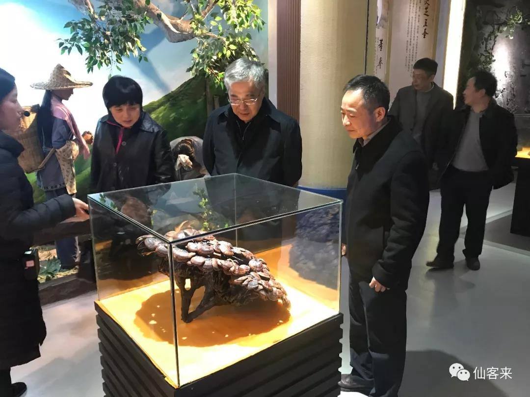 中國靈芝十大品牌|仙客來靈芝|仙客來靈芝破壁孢子粉|仙客來孢子油|仙客來靈芝飲片|仙客來破壁孢子粉|仙客來靈芝中藥飲片|馳名商標(biāo)|aimlin.com|