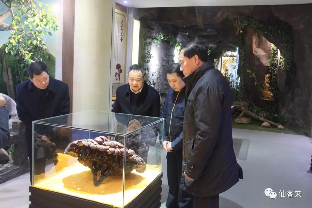 中國靈芝十大品牌|仙客來靈芝|仙客來靈芝破壁孢子粉|仙客來孢子油|仙客來靈芝飲片|仙客來破壁孢子粉|仙客來靈芝中藥飲片|馳名商標|aimlin.com| 中國靈芝十大品牌|仙客來靈芝|仙客來靈芝破壁孢子粉|仙客來孢子油|仙客來靈芝飲片|仙客來破壁孢子粉|仙客來靈芝中藥飲片|馳名商標|aimlin.com|