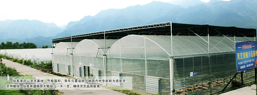 中國靈芝十大品牌|仙客來靈芝|仙客來靈芝破壁孢子粉|仙客來孢子油|仙客來靈芝飲片|仙客來破壁孢子粉|仙客來靈芝中藥飲片|馳名商標(biāo)|aimlin.com|