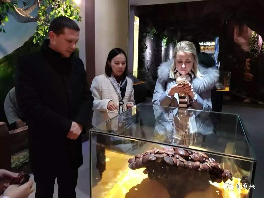 中國靈芝十大品牌|仙客來靈芝|仙客來靈芝破壁孢子粉|仙客來孢子油|仙客來靈芝飲片|仙客來破壁孢子粉|仙客來靈芝中藥飲片|馳名商標(biāo)|aimlin.com| 中國靈芝十大品牌|仙客來靈芝|仙客來靈芝破壁孢子粉|仙客來孢子油|仙客來靈芝飲片|仙客來破壁孢子粉|仙客來靈芝中藥飲片|馳名商標(biāo)|aimlin.com|