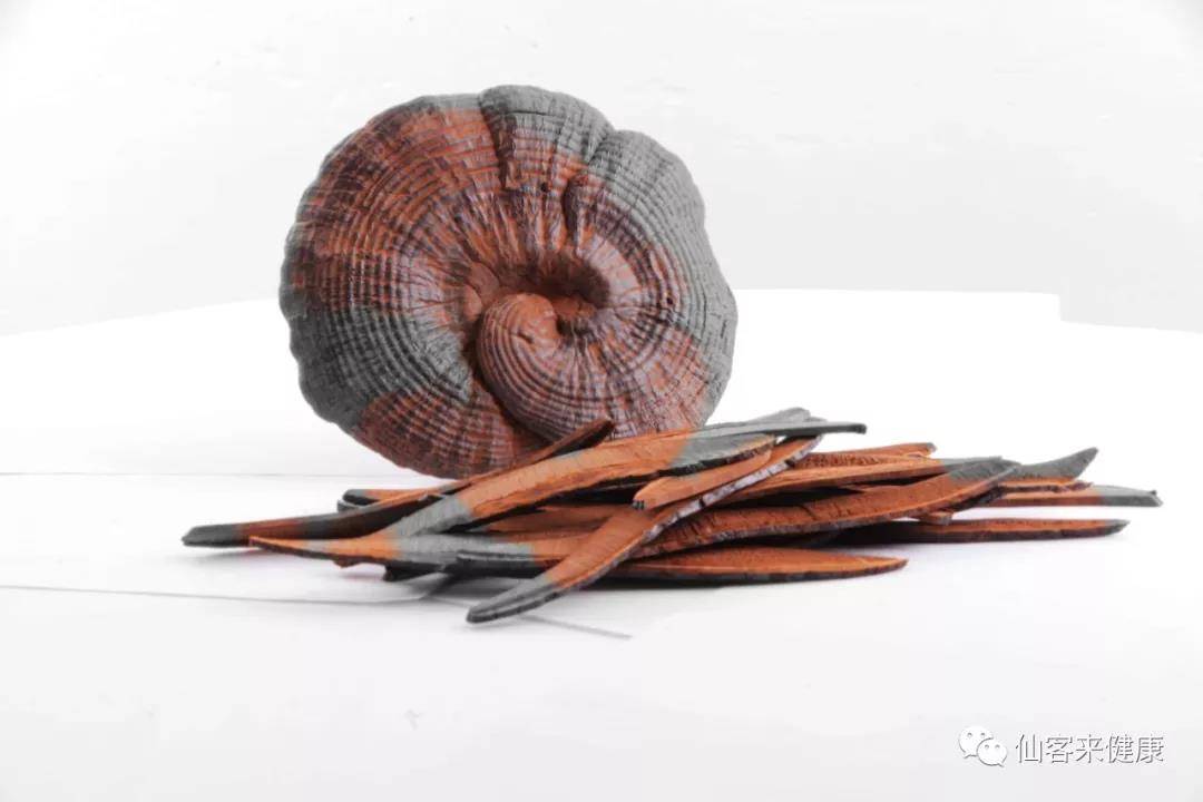 中國靈芝十大品牌|仙客來靈芝|仙客來靈芝破壁孢子粉|仙客來孢子油|仙客來靈芝飲片|仙客來破壁孢子粉|仙客來靈芝中藥飲片|馳名商標|aimlin.com| 中國靈芝十大品牌|仙客來靈芝|仙客來靈芝破壁孢子粉|仙客來孢子油|仙客來靈芝飲片|仙客來破壁孢子粉|仙客來靈芝中藥飲片|馳名商標|aimlin.com|