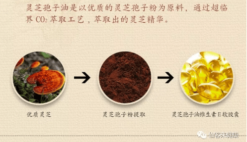 中國靈芝十大品牌|仙客來靈芝|仙客來靈芝破壁孢子粉|仙客來孢子油|仙客來靈芝飲片|仙客來破壁孢子粉|仙客來靈芝中藥飲片|馳名商標(biāo)|aimlin.com|