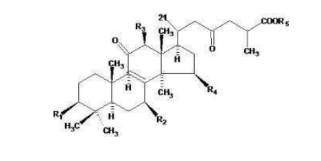 中國(guó)靈芝十大品牌|仙客來(lái)靈芝|仙客來(lái)靈芝破壁孢子粉|仙客來(lái)孢子油|仙客來(lái)靈芝飲片|仙客來(lái)破壁孢子粉|仙客來(lái)靈芝中藥飲片|馳名商標(biāo)|aimlin.com| 中國(guó)靈芝十大品牌|仙客來(lái)靈芝|仙客來(lái)靈芝破壁孢子粉|仙客來(lái)孢子油|仙客來(lái)靈芝飲片|仙客來(lái)破壁孢子粉|仙客來(lái)靈芝中藥飲片|馳名商標(biāo)|aimlin.com|