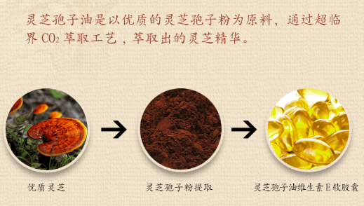 中國靈芝十大品牌|仙客來靈芝|仙客來靈芝破壁孢子粉|仙客來孢子油|仙客來靈芝飲片|仙客來破壁孢子粉|仙客來靈芝中藥飲片|馳名商標|aimlin.com| 中國靈芝十大品牌|仙客來靈芝|仙客來靈芝破壁孢子粉|仙客來孢子油|仙客來靈芝飲片|仙客來破壁孢子粉|仙客來靈芝中藥飲片|馳名商標|aimlin.com|