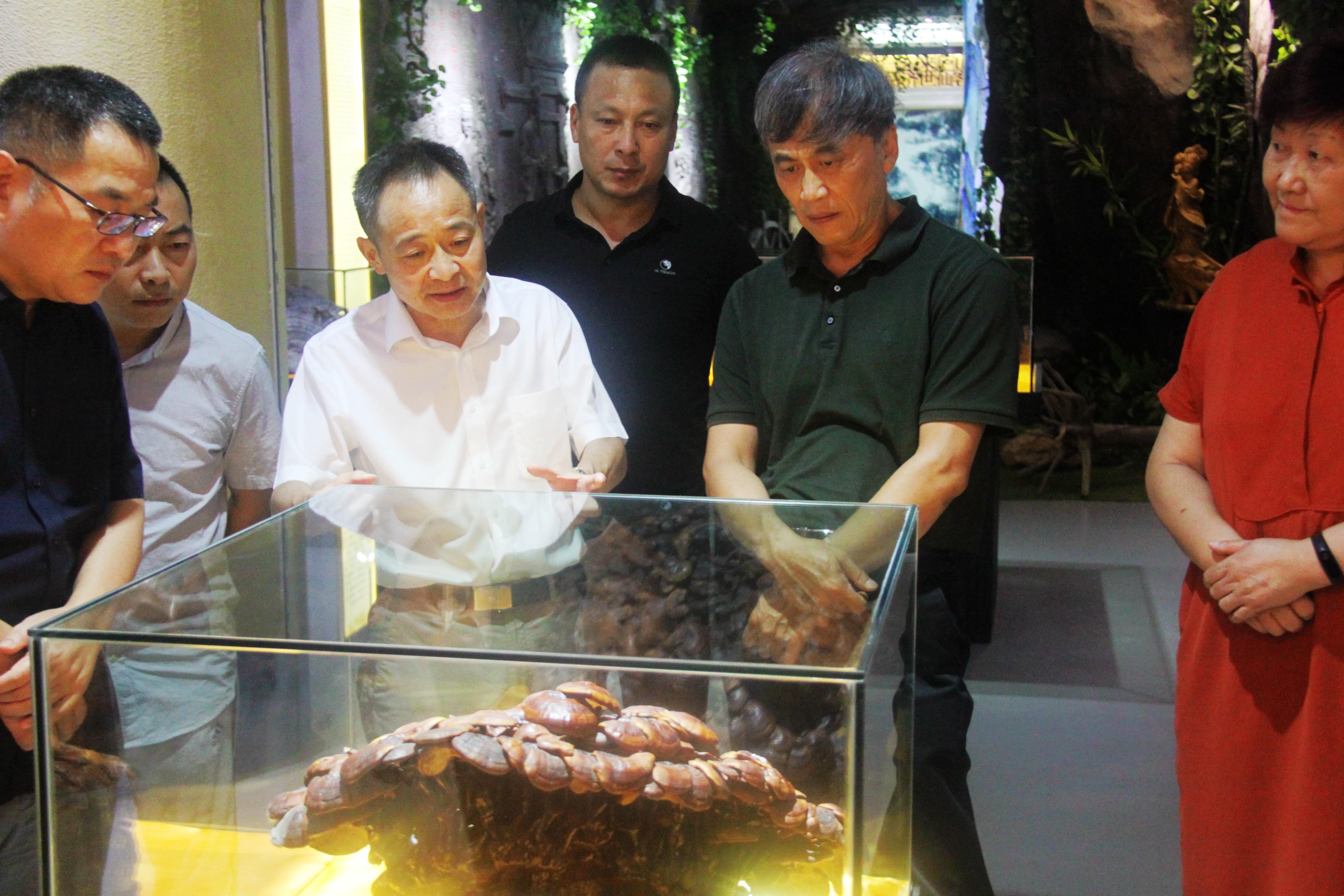 中國(guó)靈芝十大品牌|仙客來(lái)靈芝|仙客來(lái)靈芝破壁孢子粉|仙客來(lái)孢子油|仙客來(lái)靈芝飲片|仙客來(lái)破壁孢子粉|仙客來(lái)靈芝中藥飲片|馳名商標(biāo)|aimlin.com|