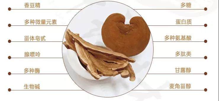 中國靈芝十大品牌|仙客來靈芝|仙客來靈芝破壁孢子粉|仙客來孢子油|仙客來靈芝飲片|仙客來破壁孢子粉|仙客來靈芝中藥飲片|馳名商標(biāo)|aimlin.com| 中國靈芝十大品牌|仙客來靈芝|仙客來靈芝破壁孢子粉|仙客來孢子油|仙客來靈芝飲片|仙客來破壁孢子粉|仙客來靈芝中藥飲片|馳名商標(biāo)|aimlin.com|