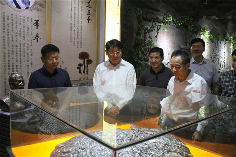 中國靈芝十大品牌|仙客來靈芝|仙客來靈芝破壁孢子粉|仙客來孢子油|仙客來靈芝飲片|仙客來破壁孢子粉|仙客來靈芝中藥飲片|馳名商標|aimlin.com|