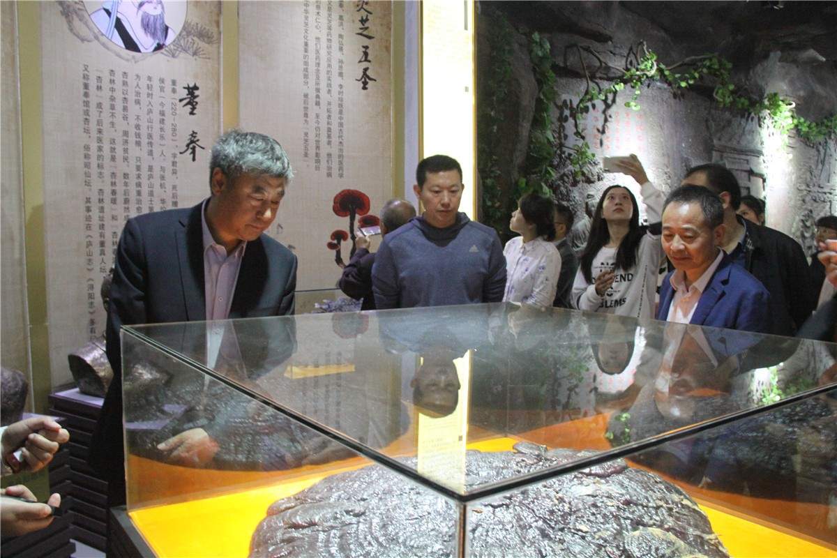 中國靈芝十大品牌|仙客來靈芝|仙客來靈芝破壁孢子粉|仙客來孢子油|仙客來靈芝飲片|仙客來破壁孢子粉|仙客來靈芝中藥飲片|馳名商標(biāo)|aimlin.com|