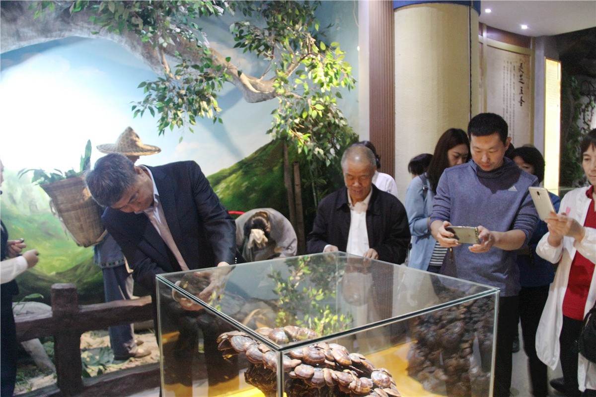 中國靈芝十大品牌|仙客來靈芝|仙客來靈芝破壁孢子粉|仙客來孢子油|仙客來靈芝飲片|仙客來破壁孢子粉|仙客來靈芝中藥飲片|馳名商標(biāo)|aimlin.com|