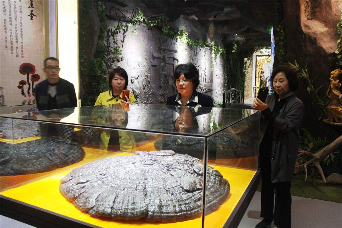 中國(guó)靈芝十大品牌|仙客來靈芝|仙客來靈芝破壁孢子粉|仙客來孢子油|仙客來靈芝飲片|仙客來破壁孢子粉|仙客來靈芝中藥飲片|馳名商標(biāo)|aimlin.com|