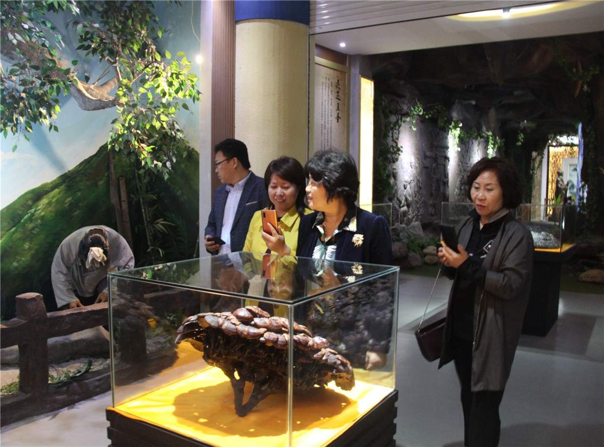 中國(guó)靈芝十大品牌|仙客來靈芝|仙客來靈芝破壁孢子粉|仙客來孢子油|仙客來靈芝飲片|仙客來破壁孢子粉|仙客來靈芝中藥飲片|馳名商標(biāo)|aimlin.com|