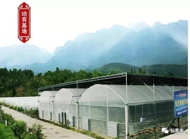 中國(guó)靈芝十大品牌|仙客來(lái)靈芝|仙客來(lái)靈芝破壁孢子粉|仙客來(lái)孢子油|仙客來(lái)靈芝飲片|仙客來(lái)破壁孢子粉|仙客來(lái)靈芝中藥飲片|馳名商標(biāo)|aimlin.com|
