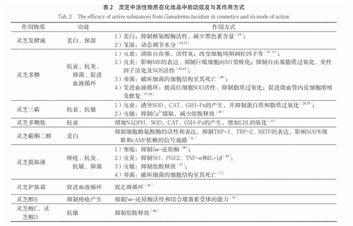 杭州亞運(yùn)會(huì)官方靈芝產(chǎn)品供應(yīng)商|杭州亞運(yùn)會(huì)官方供應(yīng)商|中國(guó)靈芝十大品牌|仙客來靈芝|仙客來靈芝破壁孢子粉|仙客來孢子油|仙客來靈芝飲片|仙客來破壁孢子粉|靈芝孢子油|孢子粉|靈芝破壁孢子粉|靈芝|中華老字號(hào)
