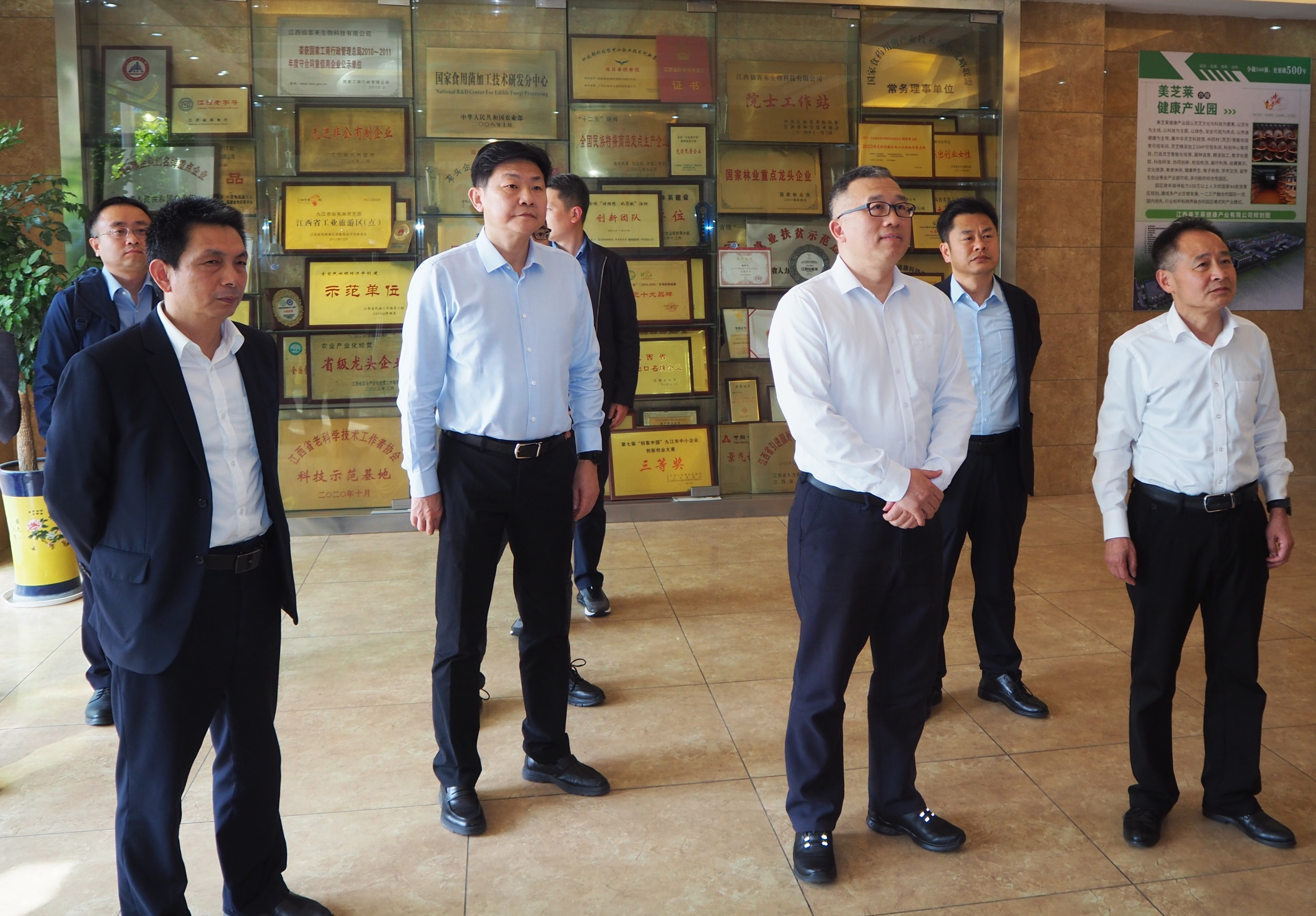 杭州亞運(yùn)會官方靈芝產(chǎn)品供應(yīng)商|杭州亞運(yùn)會官方供應(yīng)商|中國靈芝十大品牌|仙客來靈芝|仙客來靈芝破壁孢子粉|仙客來孢子油|仙客來靈芝飲片|仙客來破壁孢子粉|靈芝孢子油|孢子粉|靈芝破壁孢子粉|靈芝|中華老字號 杭州亞運(yùn)會官方靈芝產(chǎn)品供應(yīng)商|杭州亞運(yùn)會官方供應(yīng)商|中國靈芝十大品牌|仙客來靈芝|仙客來靈芝破壁孢子粉|仙客來孢子油|仙客來靈芝飲片|仙客來破壁孢子粉|靈芝孢子油|孢子粉|靈芝破壁孢子粉|靈芝|中華老字號