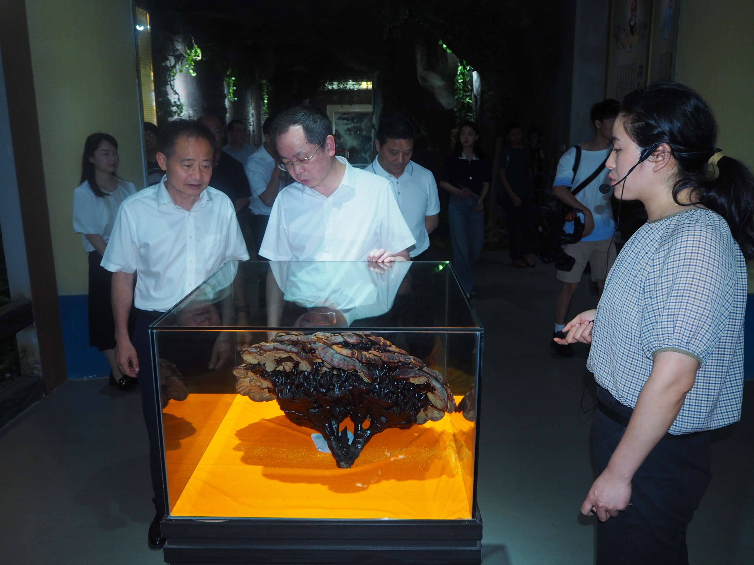 杭州亞運(yùn)會(huì)官方靈芝產(chǎn)品供應(yīng)商|杭州亞運(yùn)會(huì)官方供應(yīng)商|中國(guó)靈芝十大品牌|仙客來靈芝|仙客來靈芝破壁孢子粉|仙客來孢子油|仙客來靈芝飲片|仙客來破壁孢子粉|靈芝孢子油|孢子粉|靈芝破壁孢子粉|靈芝|中華老字號(hào)