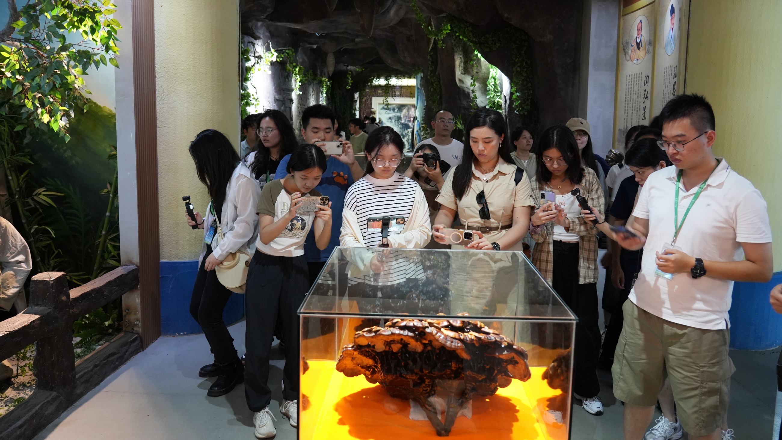 杭州亞運(yùn)會(huì)官方靈芝產(chǎn)品供應(yīng)商|杭州亞運(yùn)會(huì)官方供應(yīng)商|中國靈芝十大品牌|仙客來靈芝|仙客來靈芝破壁孢子粉|仙客來孢子油|仙客來靈芝飲片|仙客來破壁孢子粉|靈芝孢子油|孢子粉|靈芝破壁孢子粉|靈芝|中華老字號(hào) 杭州亞運(yùn)會(huì)官方靈芝產(chǎn)品供應(yīng)商|杭州亞運(yùn)會(huì)官方供應(yīng)商|中國靈芝十大品牌|仙客來靈芝|仙客來靈芝破壁孢子粉|仙客來孢子油|仙客來靈芝飲片|仙客來破壁孢子粉|靈芝孢子油|孢子粉|靈芝破壁孢子粉|靈芝|中華老字號(hào)