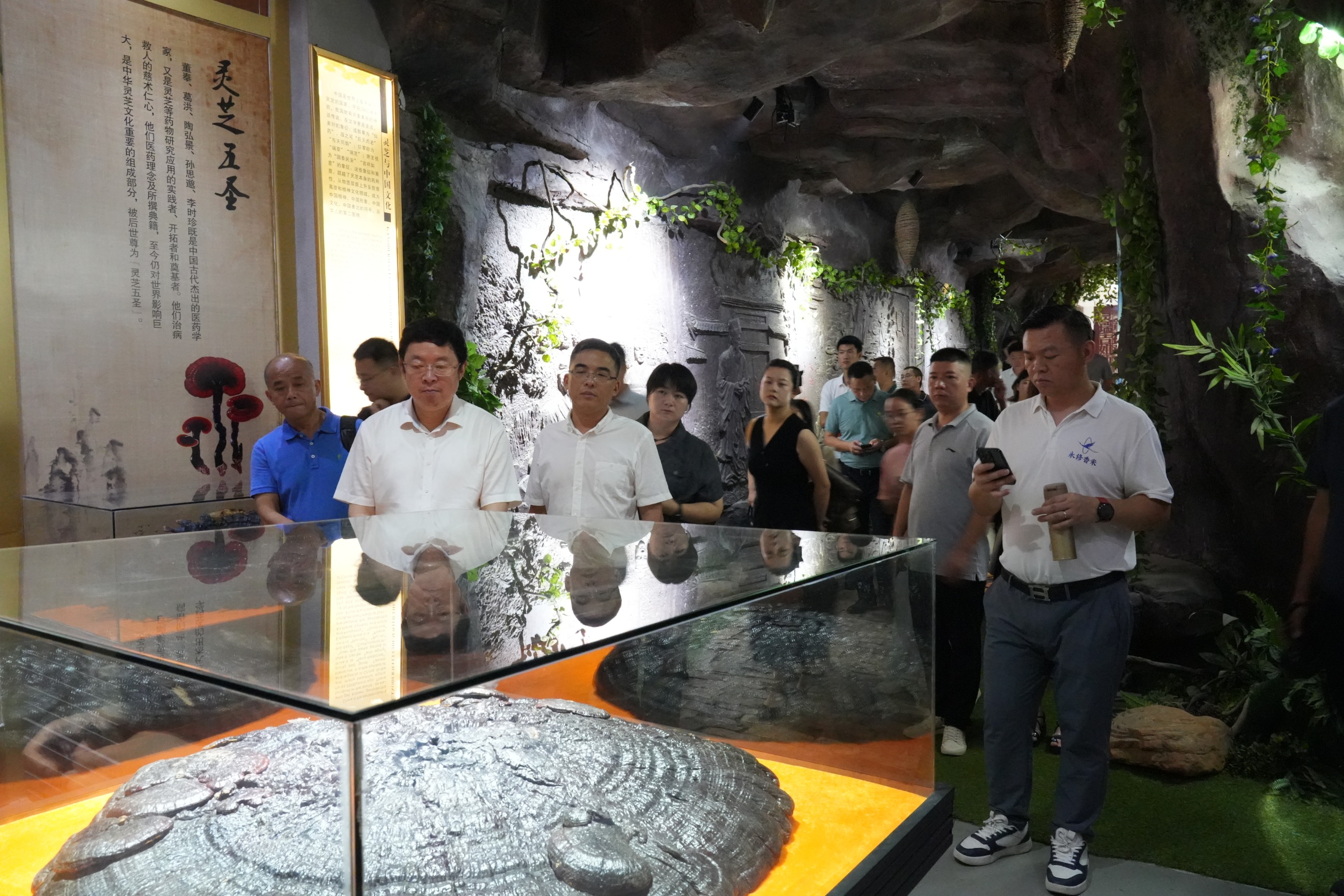 杭州亞運會官方靈芝產(chǎn)品供應商|杭州亞運會官方供應商|中國靈芝十大品牌|仙客來靈芝|仙客來靈芝破壁孢子粉|仙客來孢子油|仙客來靈芝飲片|仙客來破壁孢子粉|靈芝孢子油|孢子粉|靈芝破壁孢子粉|靈芝|中華老字號 杭州亞運會官方靈芝產(chǎn)品供應商|杭州亞運會官方供應商|中國靈芝十大品牌|仙客來靈芝|仙客來靈芝破壁孢子粉|仙客來孢子油|仙客來靈芝飲片|仙客來破壁孢子粉|靈芝孢子油|孢子粉|靈芝破壁孢子粉|靈芝|中華老字號