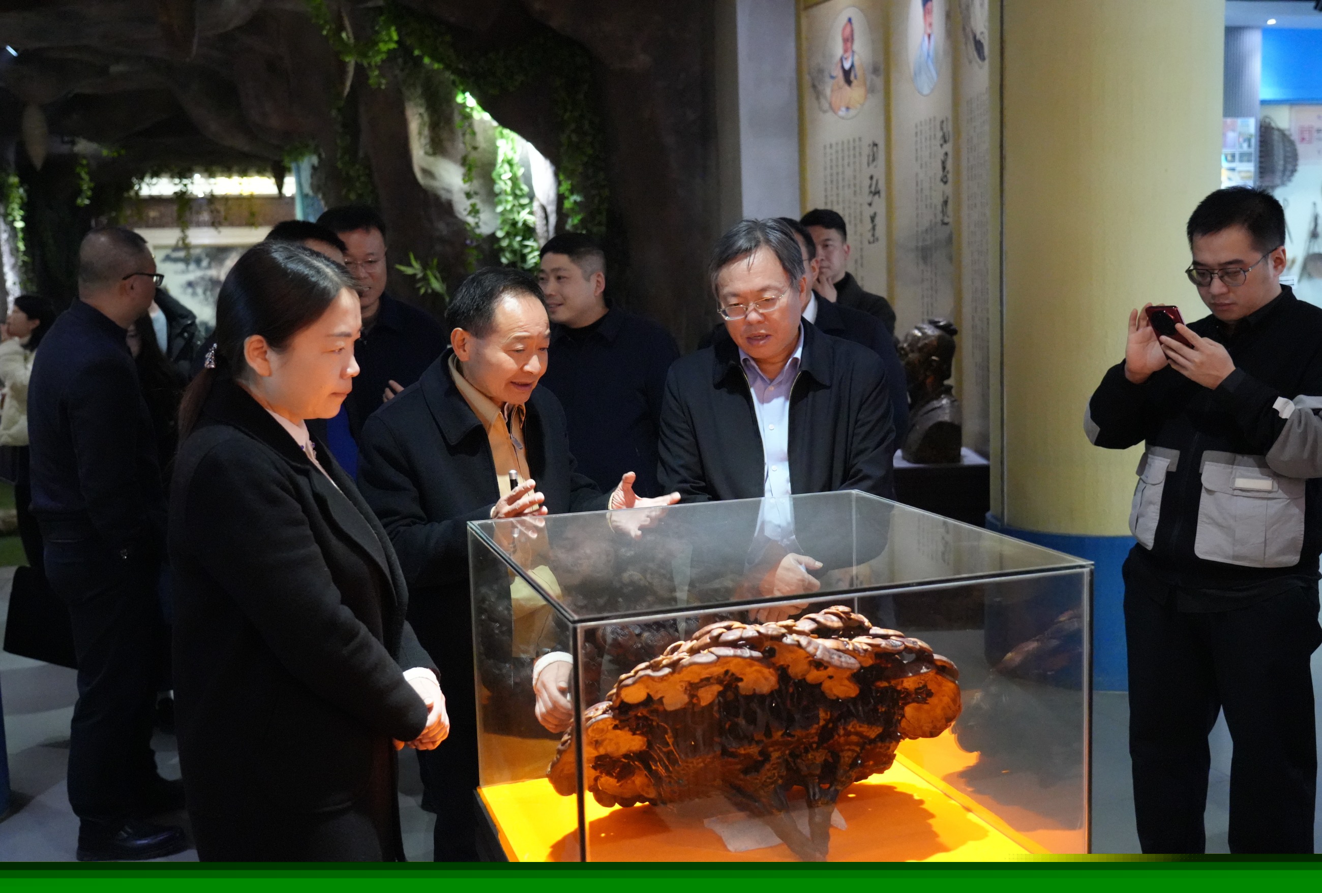 杭州亞運(yùn)會(huì)官方靈芝產(chǎn)品供應(yīng)商|杭州亞運(yùn)會(huì)官方供應(yīng)商|中國(guó)靈芝十大品牌|仙客來(lái)靈芝|仙客來(lái)靈芝破壁孢子粉|仙客來(lái)孢子油|仙客來(lái)靈芝飲片|仙客來(lái)破壁孢子粉|靈芝孢子油|孢子粉|靈芝破壁孢子粉|靈芝|中華老字號(hào) 杭州亞運(yùn)會(huì)官方靈芝產(chǎn)品供應(yīng)商|杭州亞運(yùn)會(huì)官方供應(yīng)商|中國(guó)靈芝十大品牌|仙客來(lái)靈芝|仙客來(lái)靈芝破壁孢子粉|仙客來(lái)孢子油|仙客來(lái)靈芝飲片|仙客來(lái)破壁孢子粉|靈芝孢子油|孢子粉|靈芝破壁孢子粉|靈芝|中華老字號(hào)