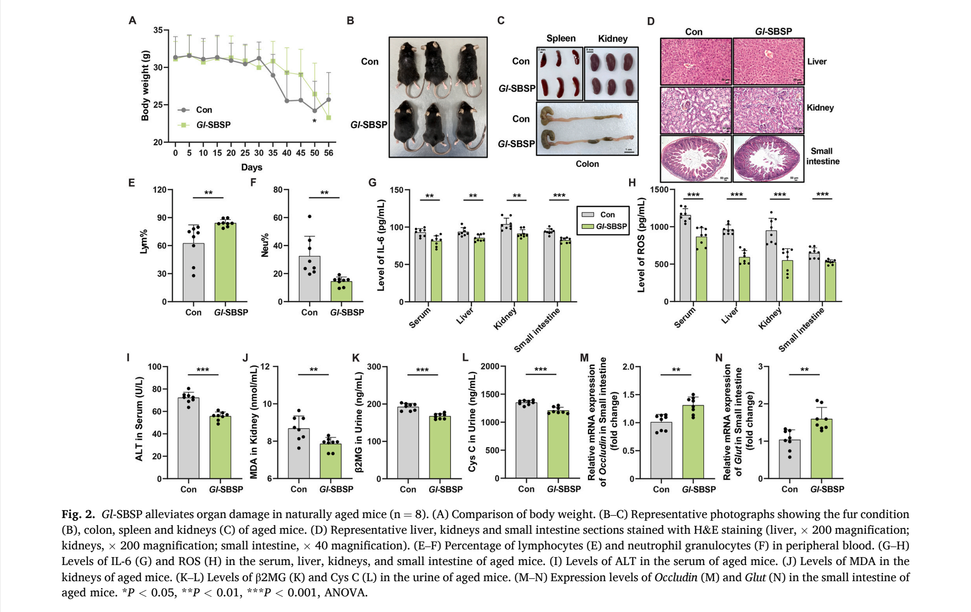 杭州亞運會官方靈芝產(chǎn)品供應商|杭州亞運會官方供應商|中國靈芝十大品牌|仙客來靈芝|仙客來靈芝破壁孢子粉|仙客來孢子油|仙客來靈芝飲片|仙客來破壁孢子粉|靈芝孢子油|孢子粉|靈芝破壁孢子粉|靈芝|中華老字號 杭州亞運會官方靈芝產(chǎn)品供應商|杭州亞運會官方供應商|中國靈芝十大品牌|仙客來靈芝|仙客來靈芝破壁孢子粉|仙客來孢子油|仙客來靈芝飲片|仙客來破壁孢子粉|靈芝孢子油|孢子粉|靈芝破壁孢子粉|靈芝|中華老字號