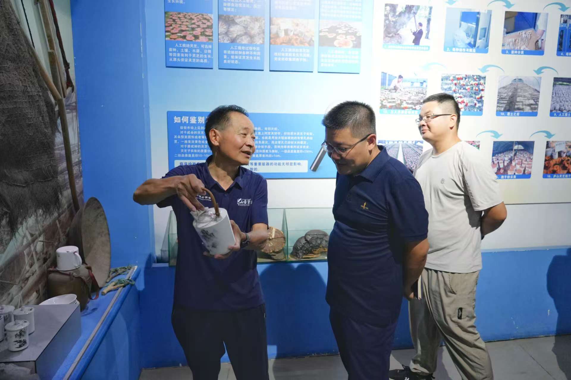 杭州亞運會官方靈芝產(chǎn)品供應(yīng)商|杭州亞運會官方供應(yīng)商|中國靈芝十大品牌|仙客來靈芝|仙客來靈芝破壁孢子粉|仙客來孢子油|仙客來靈芝飲片|仙客來破壁孢子粉|靈芝孢子油|孢子粉|靈芝破壁孢子粉|靈芝|中華老字號 杭州亞運會官方靈芝產(chǎn)品供應(yīng)商|杭州亞運會官方供應(yīng)商|中國靈芝十大品牌|仙客來靈芝|仙客來靈芝破壁孢子粉|仙客來孢子油|仙客來靈芝飲片|仙客來破壁孢子粉|靈芝孢子油|孢子粉|靈芝破壁孢子粉|靈芝|中華老字號