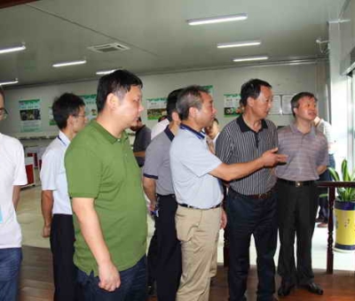 德安縣委、人大、政協(xié)領(lǐng)導(dǎo)考察仙客來公司