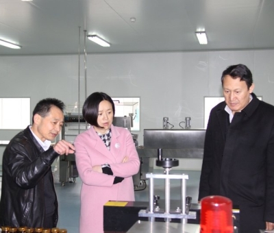 九江市委常委、副市長才宏遠蒞臨仙客來公司調研企業(yè)上市掛牌工作