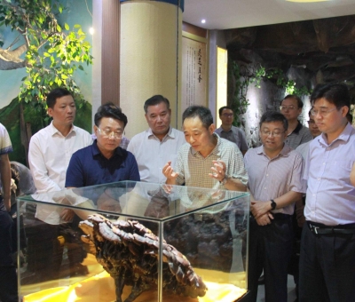 “降成本，優(yōu)環(huán)境”助企業(yè)騰飛——江西省政協(xié)副主席率團(tuán)調(diào)研仙客來！