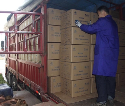 【4天加班15次缺貨】只為人皆有“芝”！