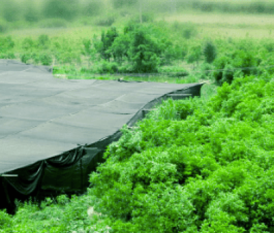 感謝廬山吧，這會是一場“仙旅情緣”