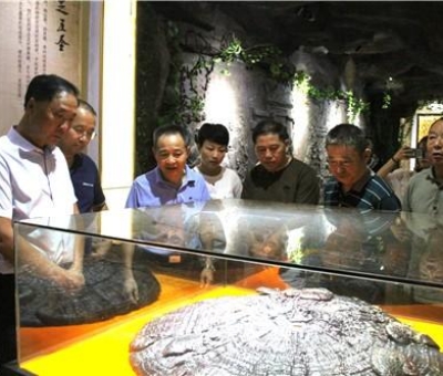 九江市南昌商會(huì)陳小平會(huì)長一行來仙客來公司參觀考察