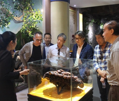 健康“良方”在這！全國政協(xié)委員、世界著名大學香港大學 榮譽院士孫少文博士蒞臨仙客來公司參觀考察