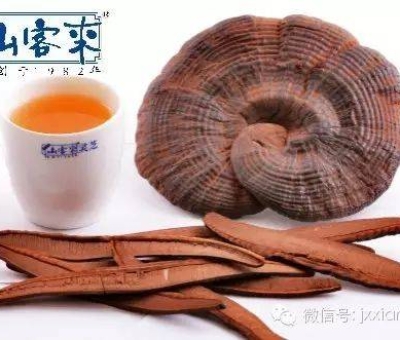 熱潮不斷！仙客來有機靈芝被點贊刷屏