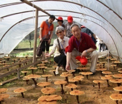 “七一勛章”獲得者張桂梅背后的故事：他們將靈芝磨成粉，送給她拌飯吃，說，吃這些能治病