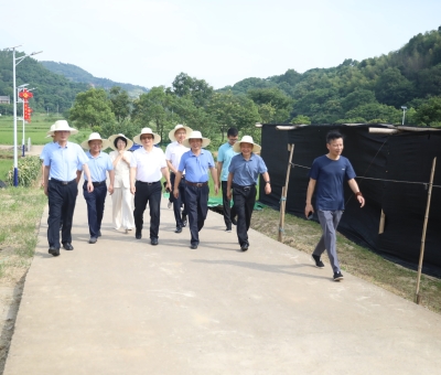 全國(guó)工商聯(lián)社會(huì)服務(wù)部部長(zhǎng)吳建輝一行蒞臨仙客來(lái)靈芝標(biāo)準(zhǔn)化基地等地調(diào)研