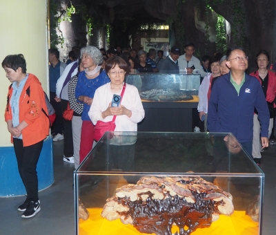 深深靈芝情！中華全國供銷合作總社再訪仙客來